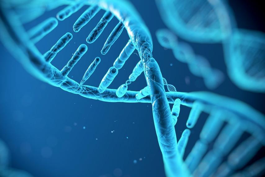 Curing Disease In Utero