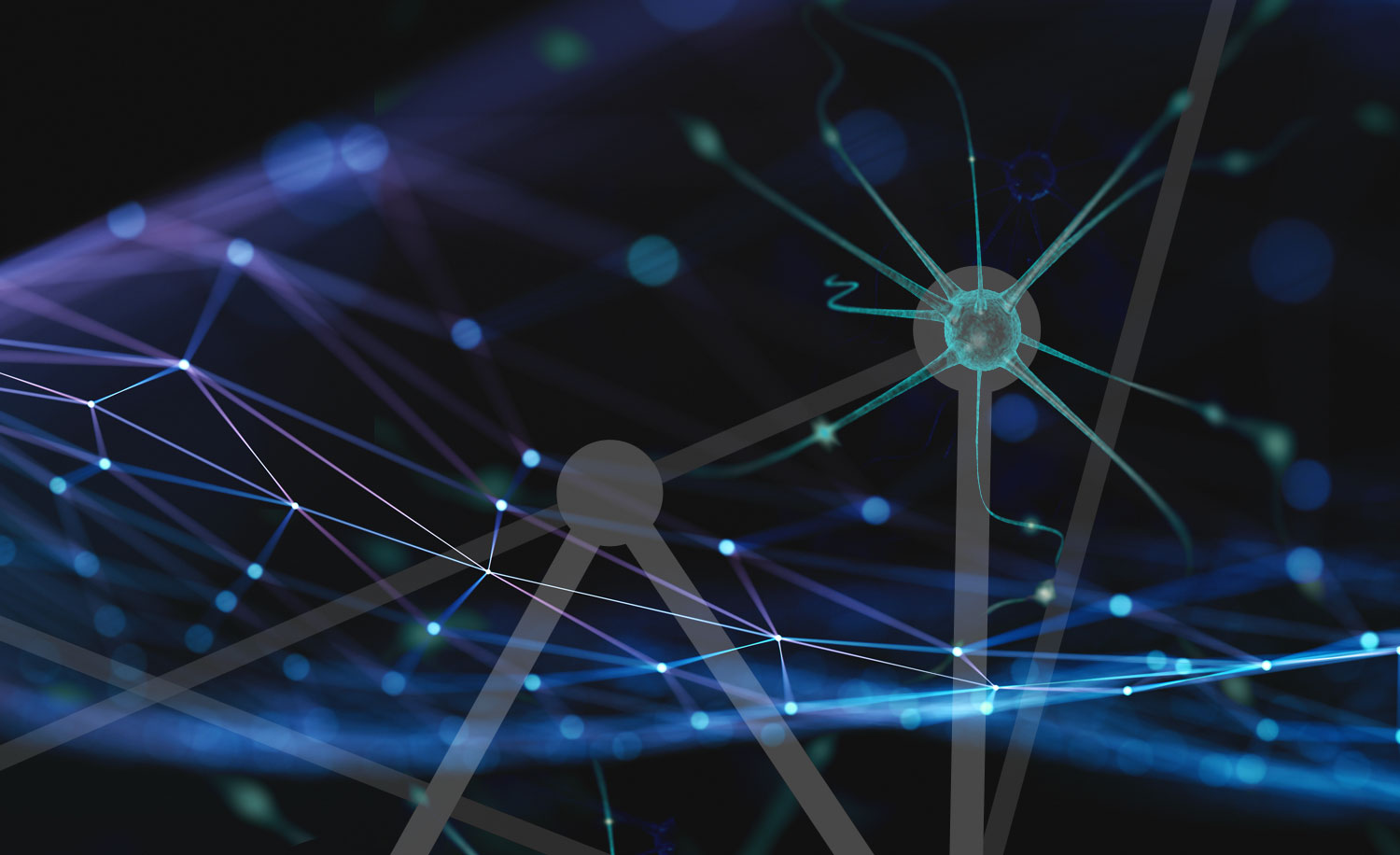 Continuation of Partial Clinical Hold of Gemcabene From NeuroBo