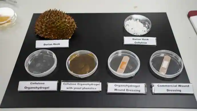 Fruit scraps are being turned into antimicrobial bandages by Singaporean scientists