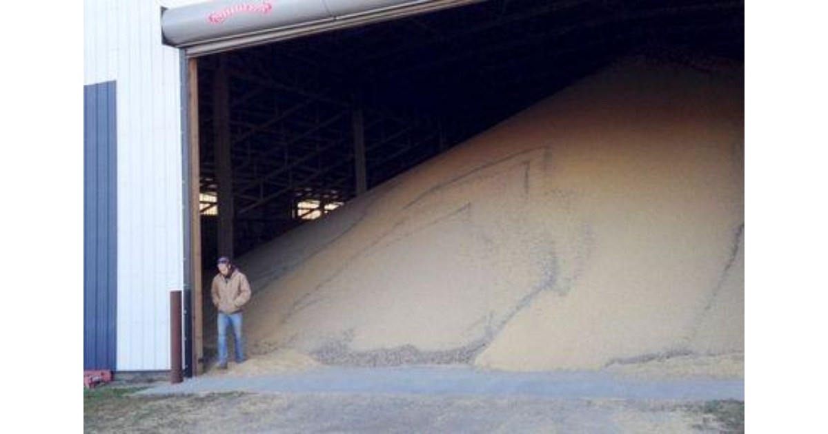 A grain handler in Minnesota has been the subject of a ransomware attack.