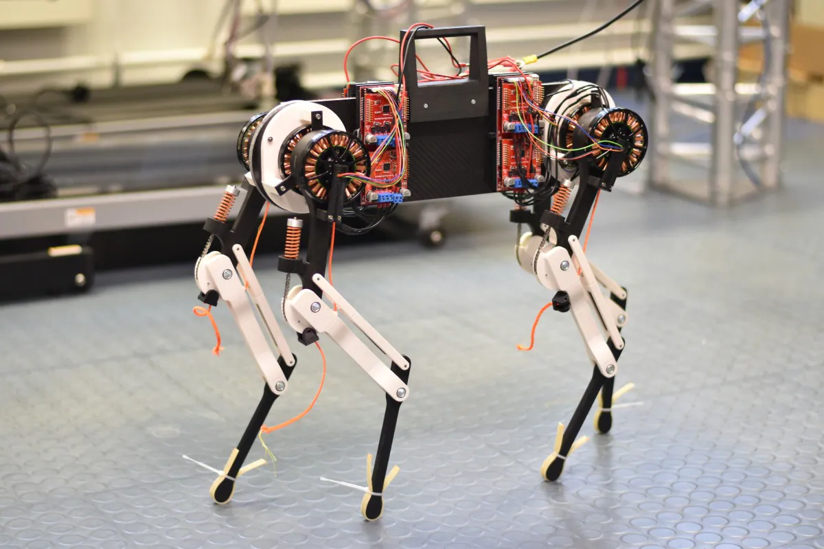 Scientists have created a self-learning robot dog